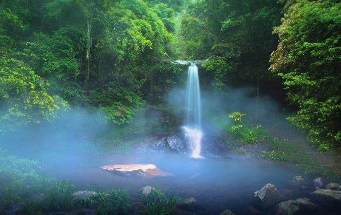 救援七星瓢虫